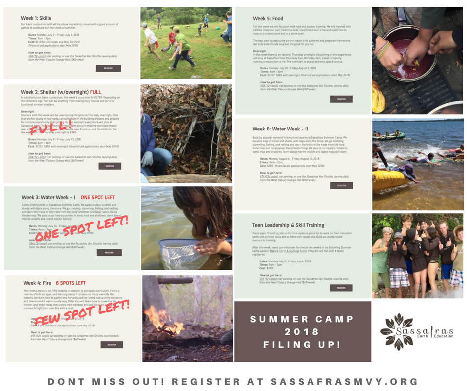 Summer Camp & Program Overview