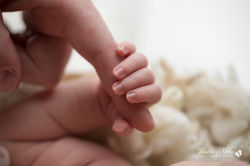 Novi Michigan newborn baby photography studio--8