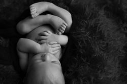 Michigan award winning newborn photography--2