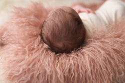 Bloomfield Hills Michigan Newborn Photography--7