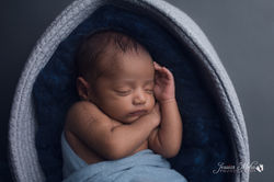 Ann Arbor Farmington Hills Michigan Newb