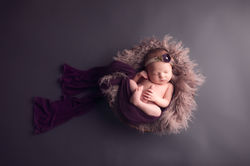 Plymouth Michigan newborn Photography--4 copy