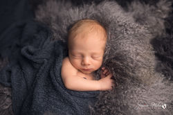 Novi Michigan Newborn Photography--9