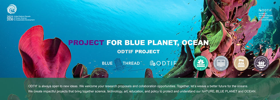ODTIF Ensemble Banner 2.jpg