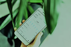 mobile phone.jpg