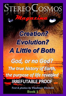 MagCover1jpeg_edited.jpg