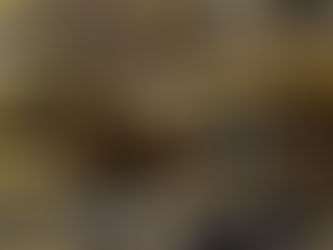 Gamble Creek Project, August 23rd, 9:00 a.m.