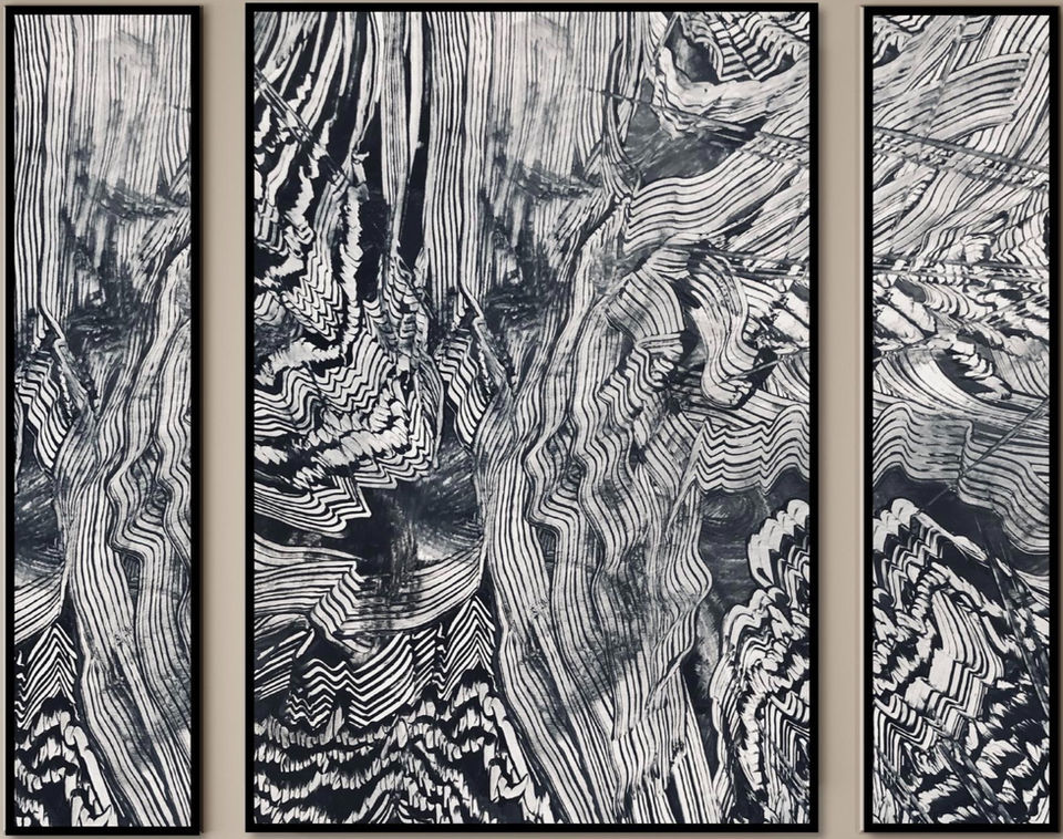 artistic plumage,feather,black&white coloration,artwork