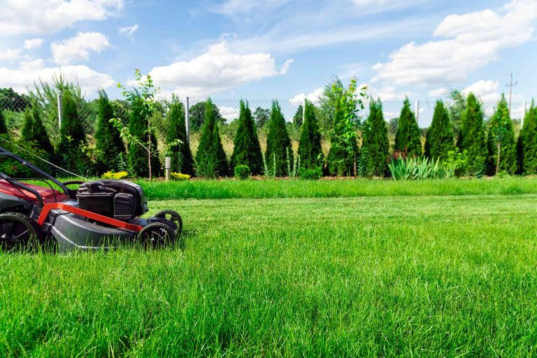 lawn care company in Red Deer