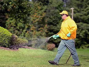weed control in Red Deer