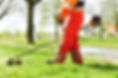 strimming-grass.jpg