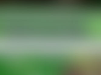 Sistema de emissão do Alvará está passando por uma transição em Rurópolis 