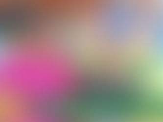 Vigilância sanitária e SEMMA realizam ação educativa nas escolas