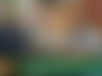 Entrevista com o presidente da Câmara, Maciel Albuquerque