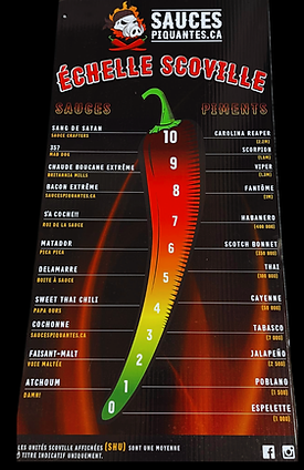 Création sans titre.png
