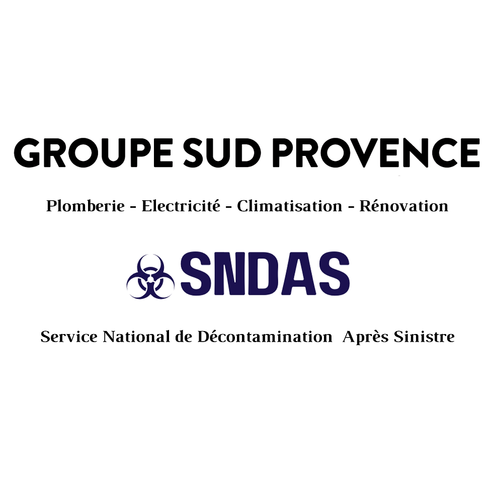 SNDAS GSP (150 x 150 px).png