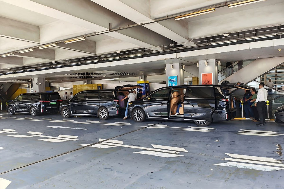 Shanghai private driver helping travelers with luggage