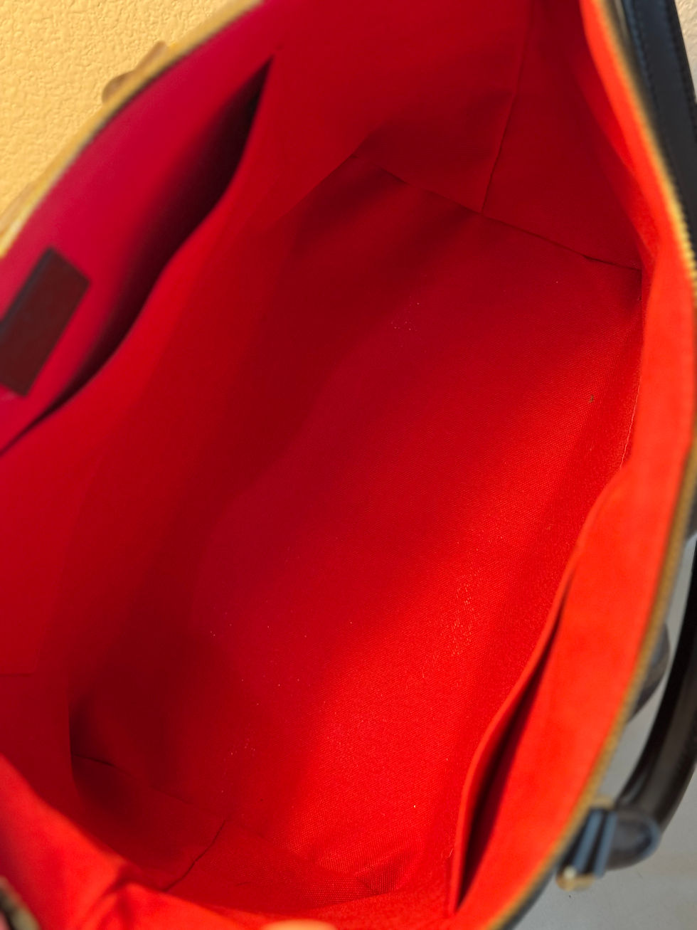 Thumbnail: Siena MM Damier Ebene