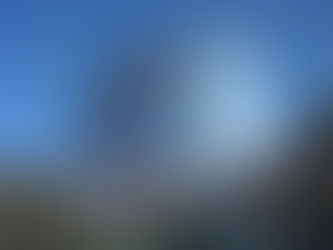 知识产权组织提名新加坡的邓鸿森任总干事一职