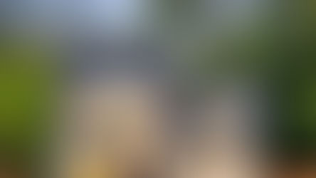 Craftsman Homes Explained: Architecture, Layouts, and Why They Endure