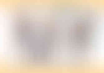 三面図小金井凛歌様