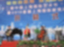 EXPO 2010 Shanghai.jpg