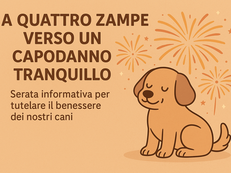 A Quattro zampe verso un Capodanno Tranquillo