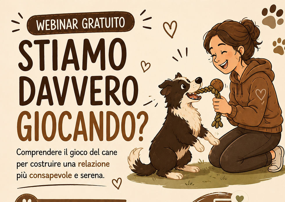 Stiamo davvero giocando?