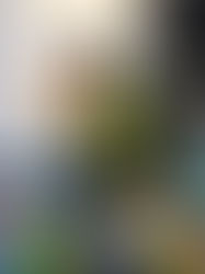 Egemen Kemal Vuruşan’dan Circus in the City