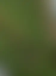 Doshi Retreat ile Vitra Campus'te Meditatif Bir Mimari Yolculuk