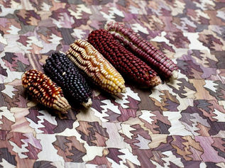 Bir Malzemeden Çok Daha Fazlası: TotoMoxtle