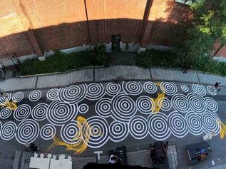 Montreal Sokaklarında Aktivist Sanatsal Müdahaleler