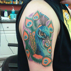 Peacock Tattoo
