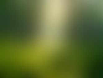 VishuddhaManthan: Your Platform for Environmental Safety Skills