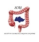SCRS-logo.png