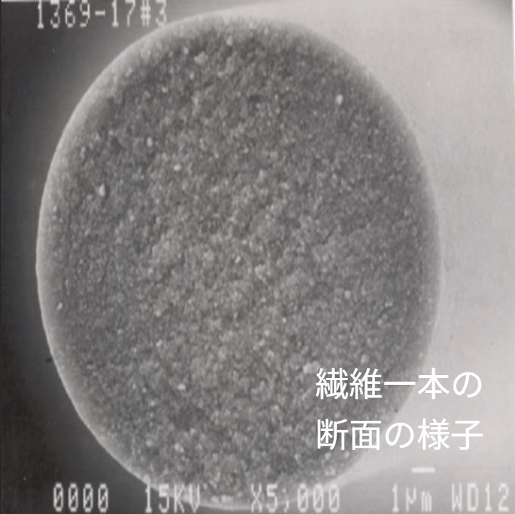スク