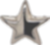Photoroom_20250127_201721.png