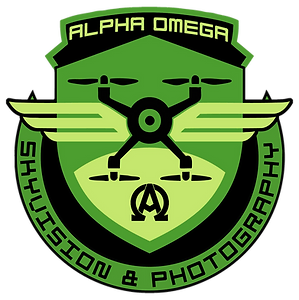 AI VECTOR IDEA 3B.png