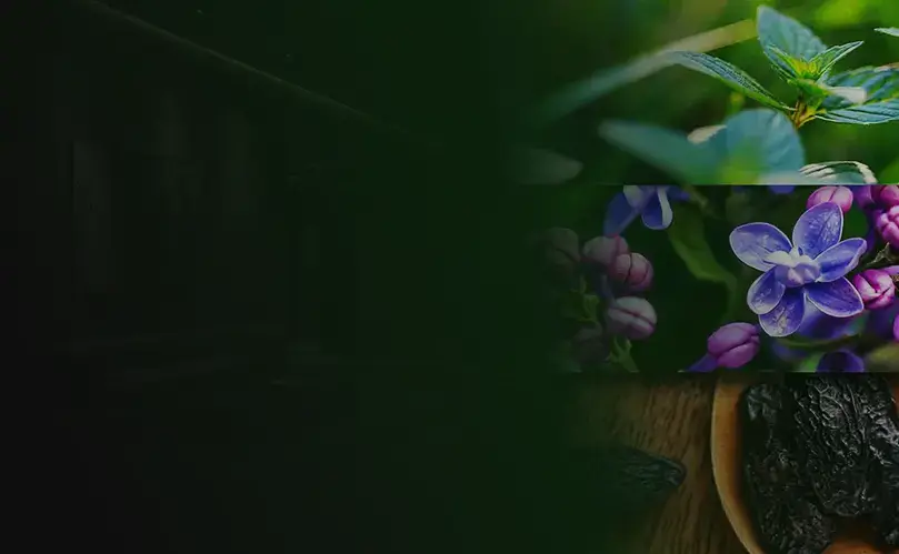 Combinaison vivifiante de jacinthe et de notes de menthe - un parfum naturel