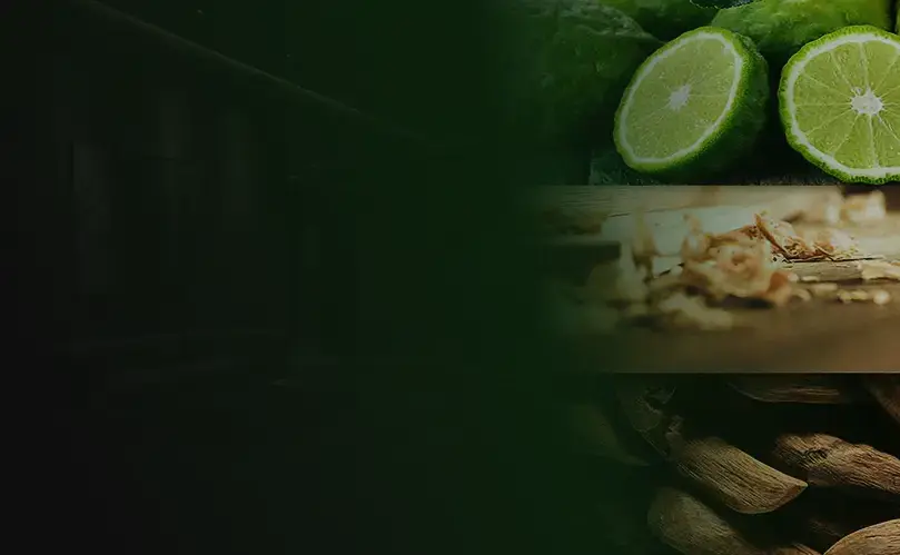 Parfum frais avec des tons boisés et un soupçon de bergamote.