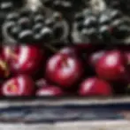 Spicy oriental fragrance with pepper, cardamom and patchouli that transports you to faraway lands. Ideal for spicy & oriental lovers