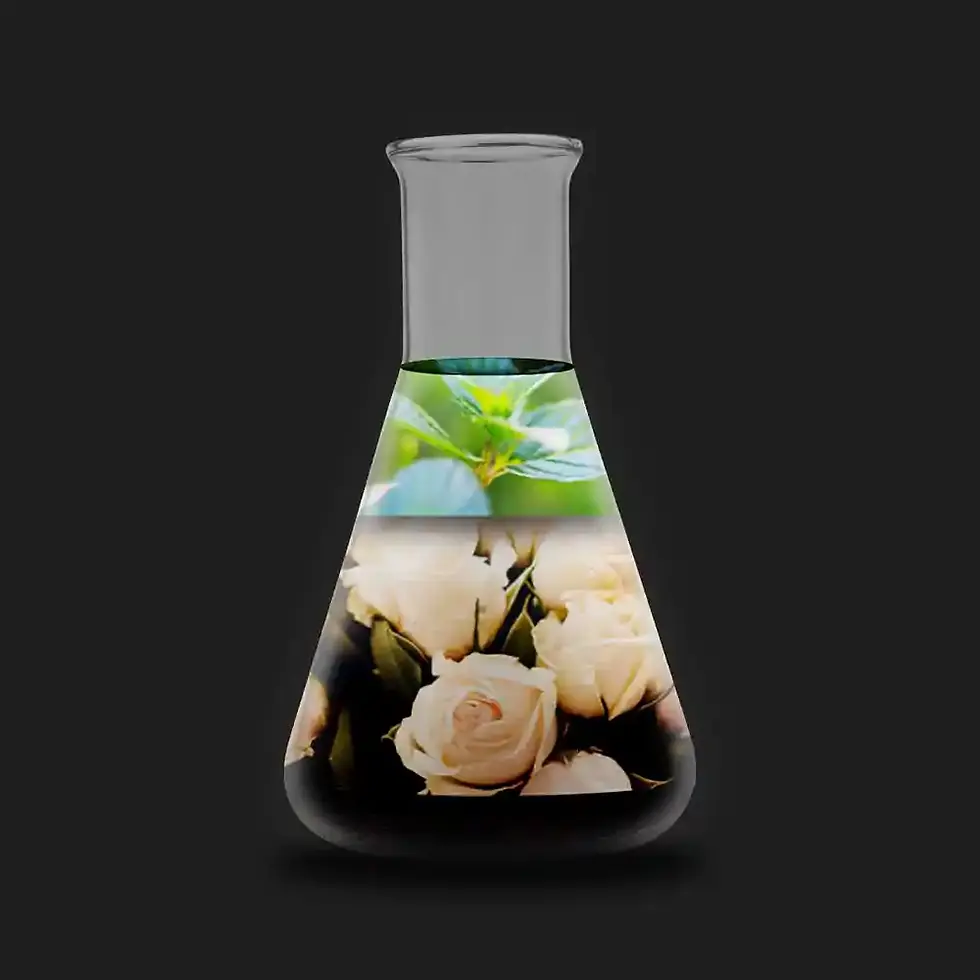 Oda kokusu NewCar Ambiente'dan bir Erlenmeyer şişesi içinde koku piramidi