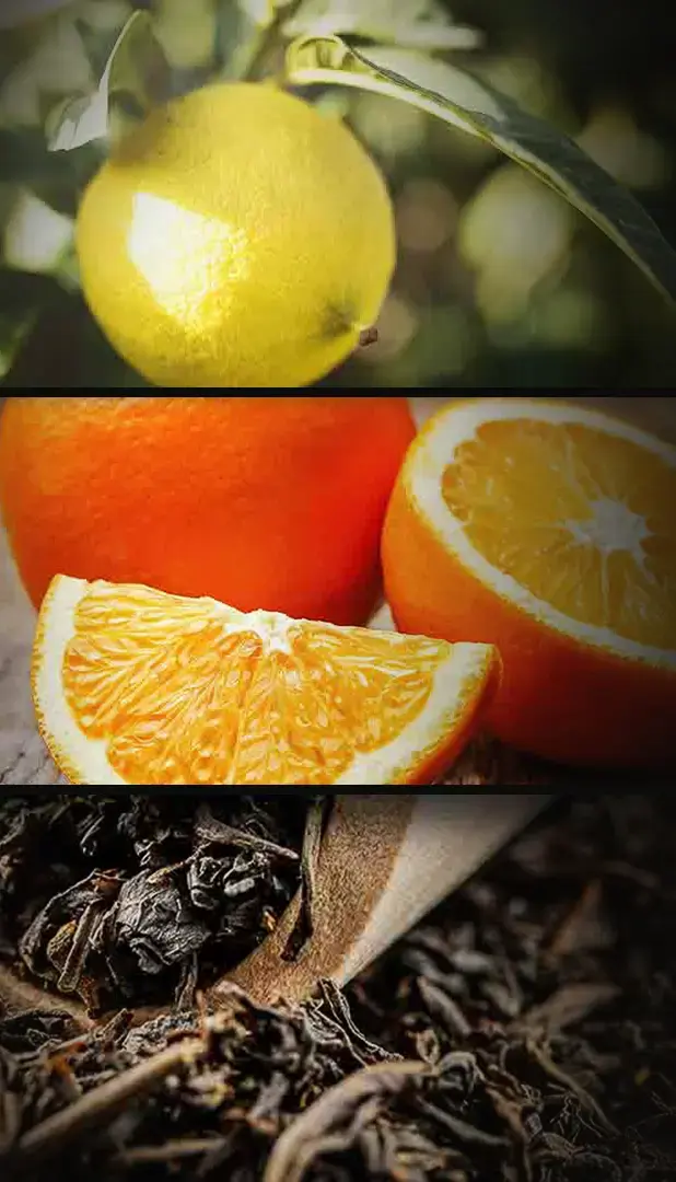 Piramide di fragranze in una beuta del profumo per ambiente Earl Grey Tea