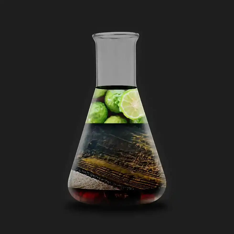 Oda kokusu Scotch & Cigar'dan bir Erlenmeyer şişesi içinde koku piramidi