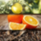 Raumduft-Earl Grey Tea-Duftpyramide zur Raumbeduftung von Duftmarketing by REIMA AirConcept
