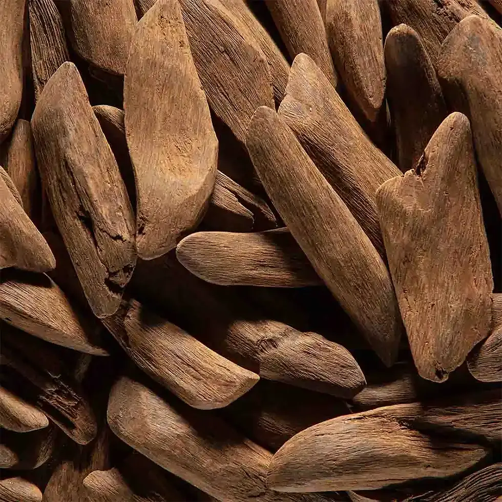 Note legnose-balsamiche con un tocco lattiginoso incoraggiano l'immaginazione e la creatività.