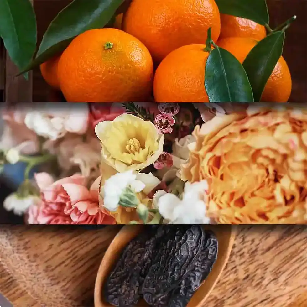 Fragrância sensual com flor de laranjeira, lavanda e jasmim, refinada com baunilha.