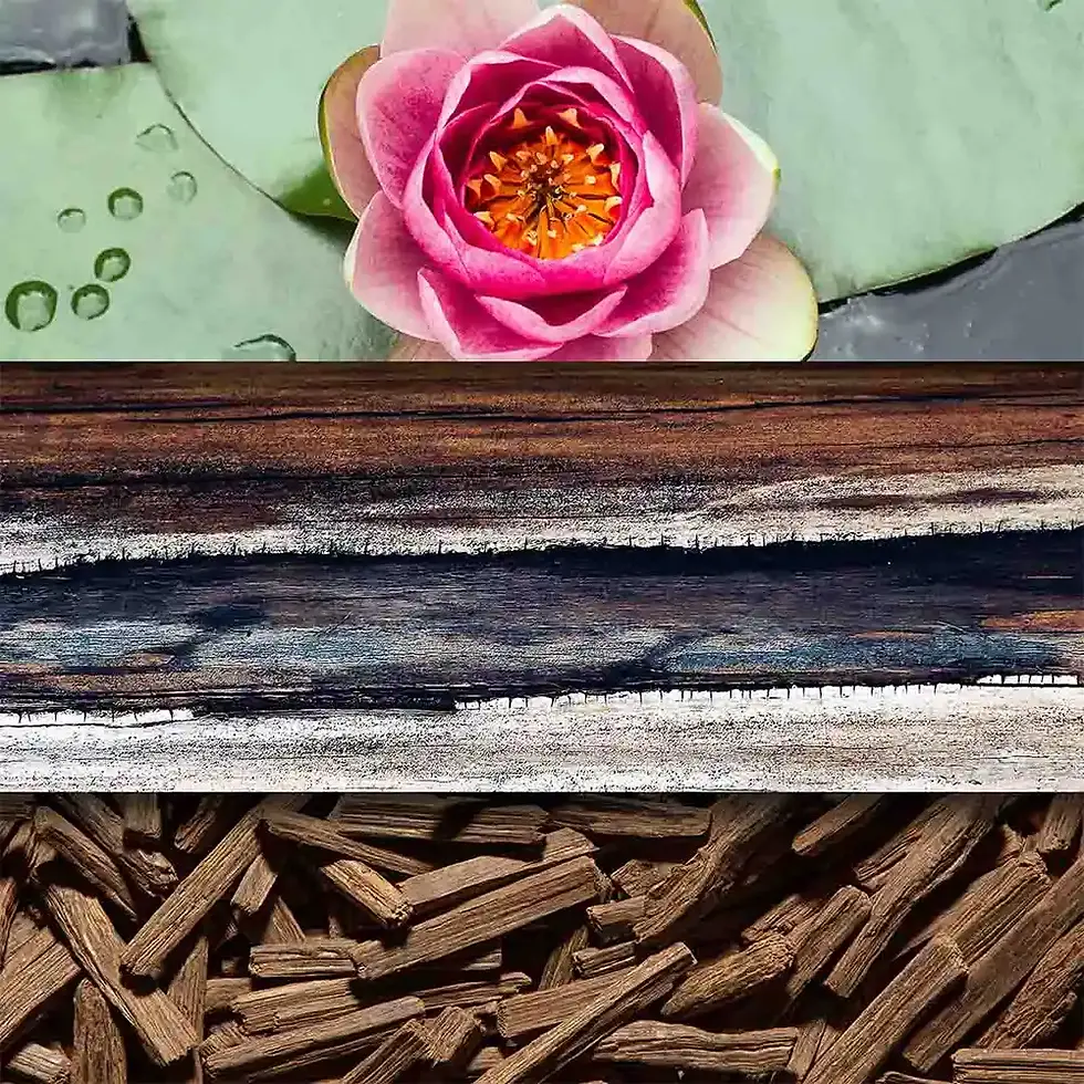 Parfum răcoritor cu lemn de cedru, santal indian și alb, intensificat de note florale. Perfectă pentru parfumul Natural
