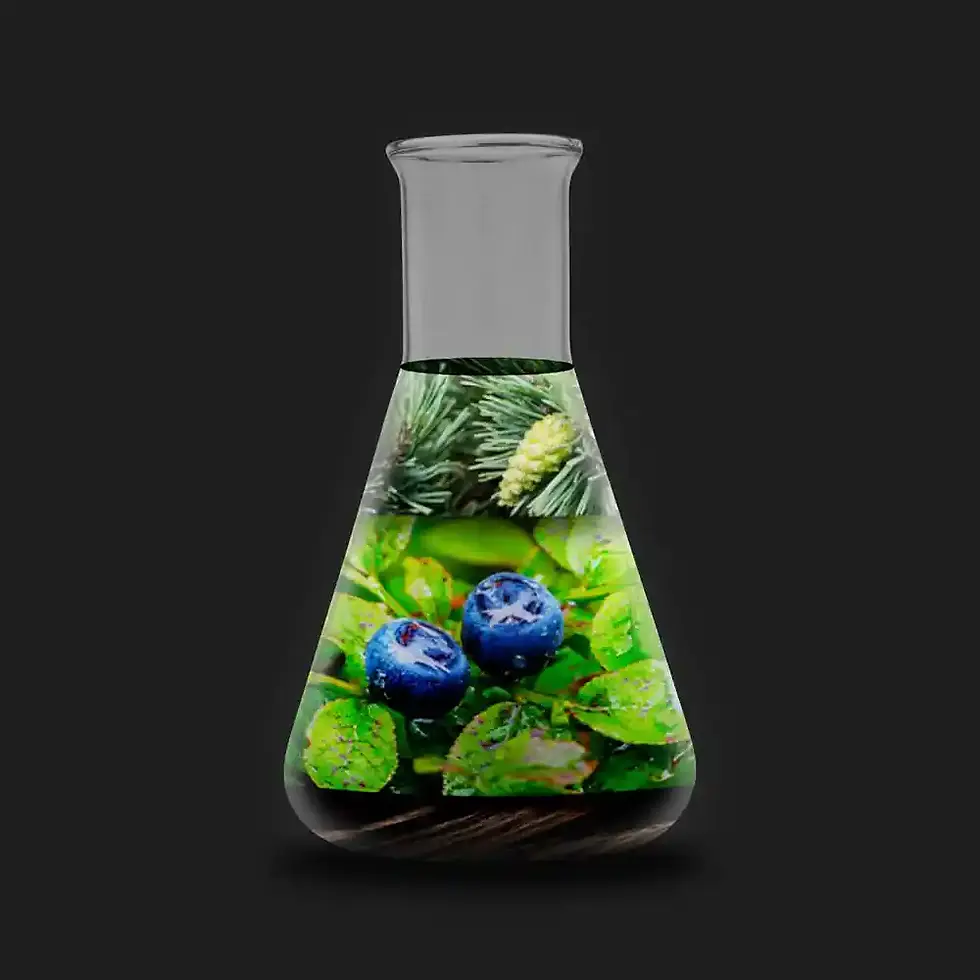 Scent pyramid in an Erlenmeyer flask from the room fragrance Forest