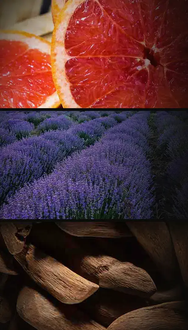 Pyramide de parfums dans un erlenmeyer du Parfum d'ambiance Alpha & Omega